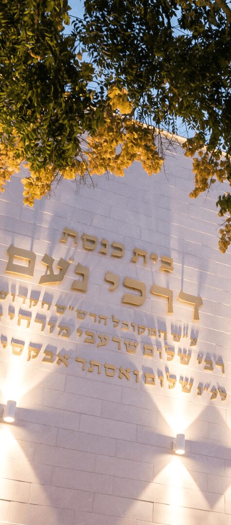 בית כנסת דרכי נועם